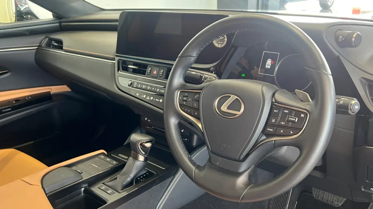 2022 Lexus ES250 Image 10