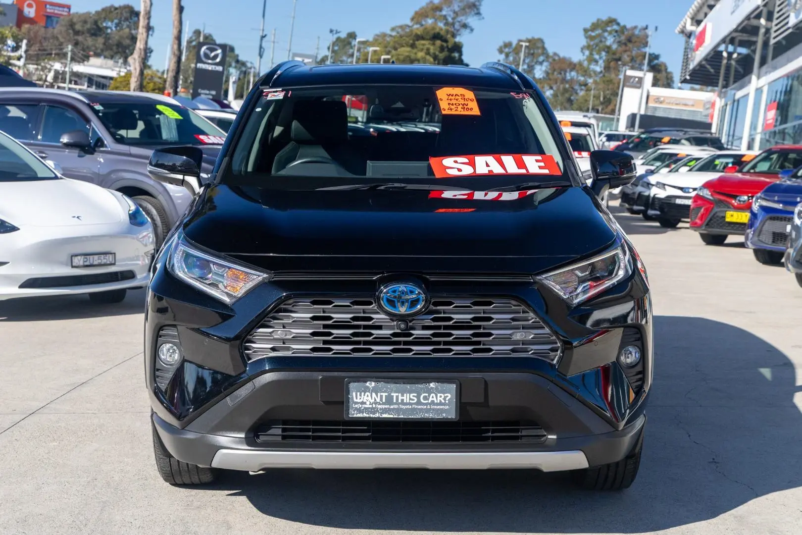 2019 Toyota RAV4 Gallery Image 4