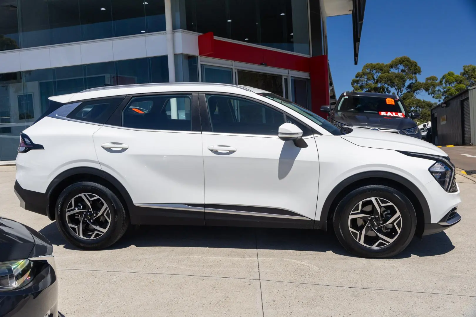 2024 Kia Sportage Gallery Image 3