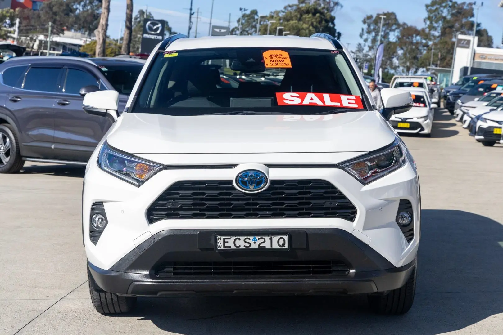 2019 Toyota RAV4 Gallery Image 4