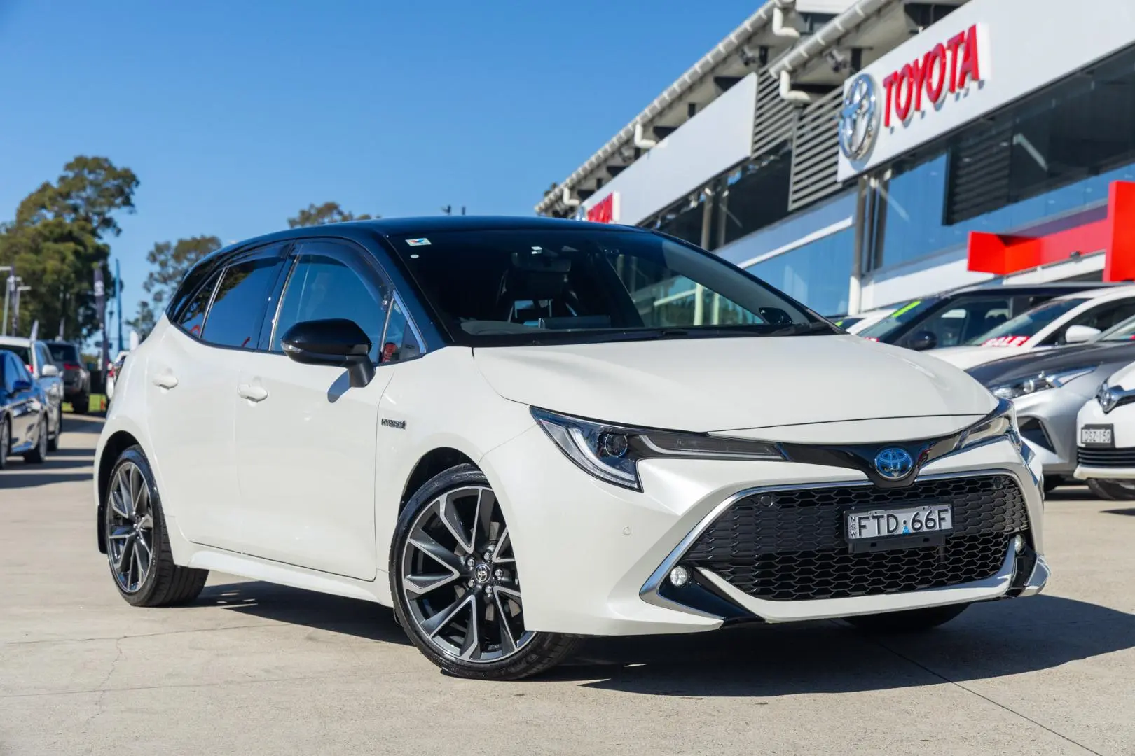 2020 Toyota Corolla Image