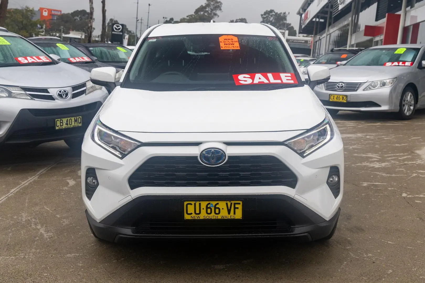 2019 Toyota RAV4 Gallery Image 3