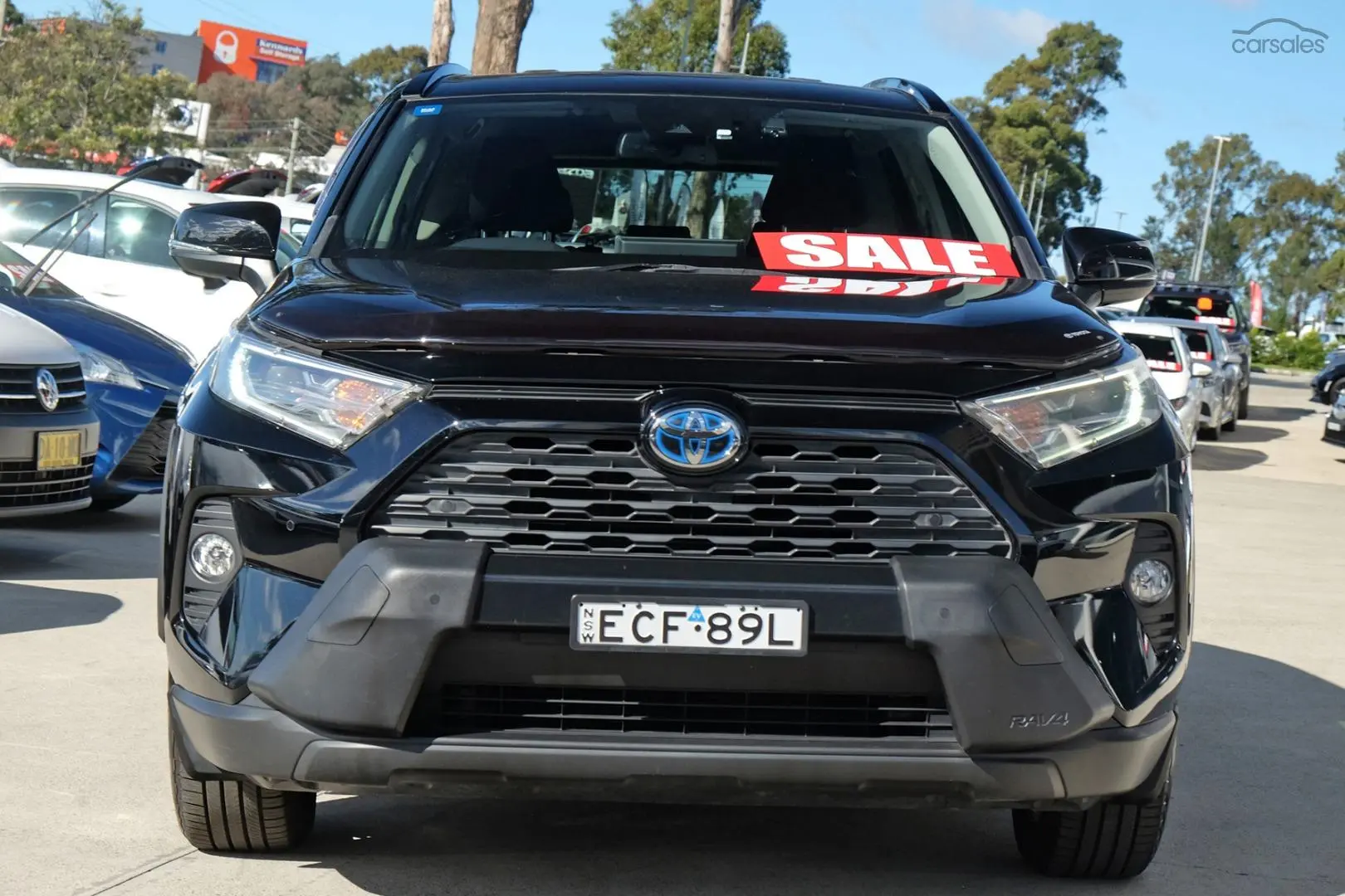 2019 Toyota RAV4 Image 3