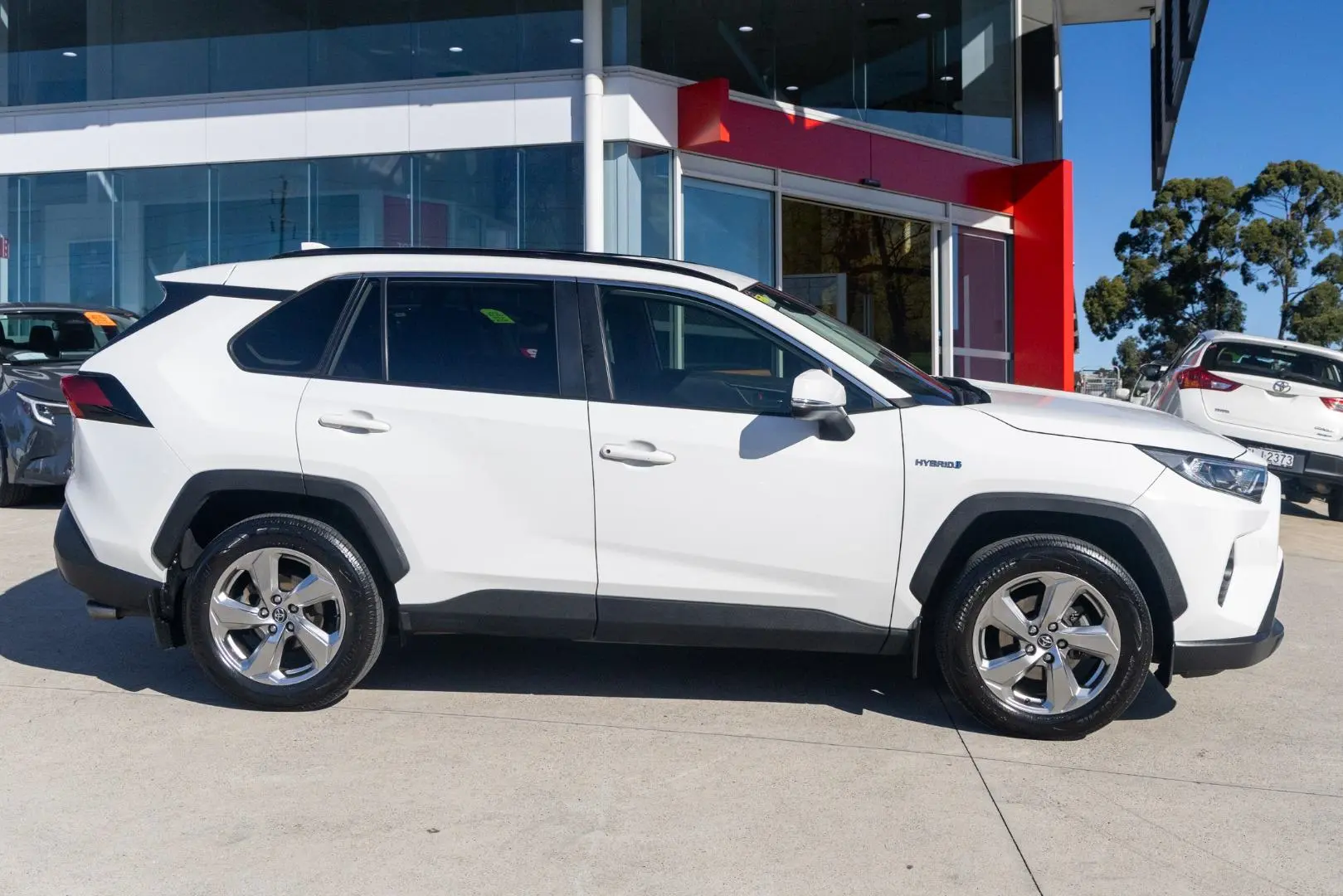 2019 Toyota RAV4 Gallery Image 3