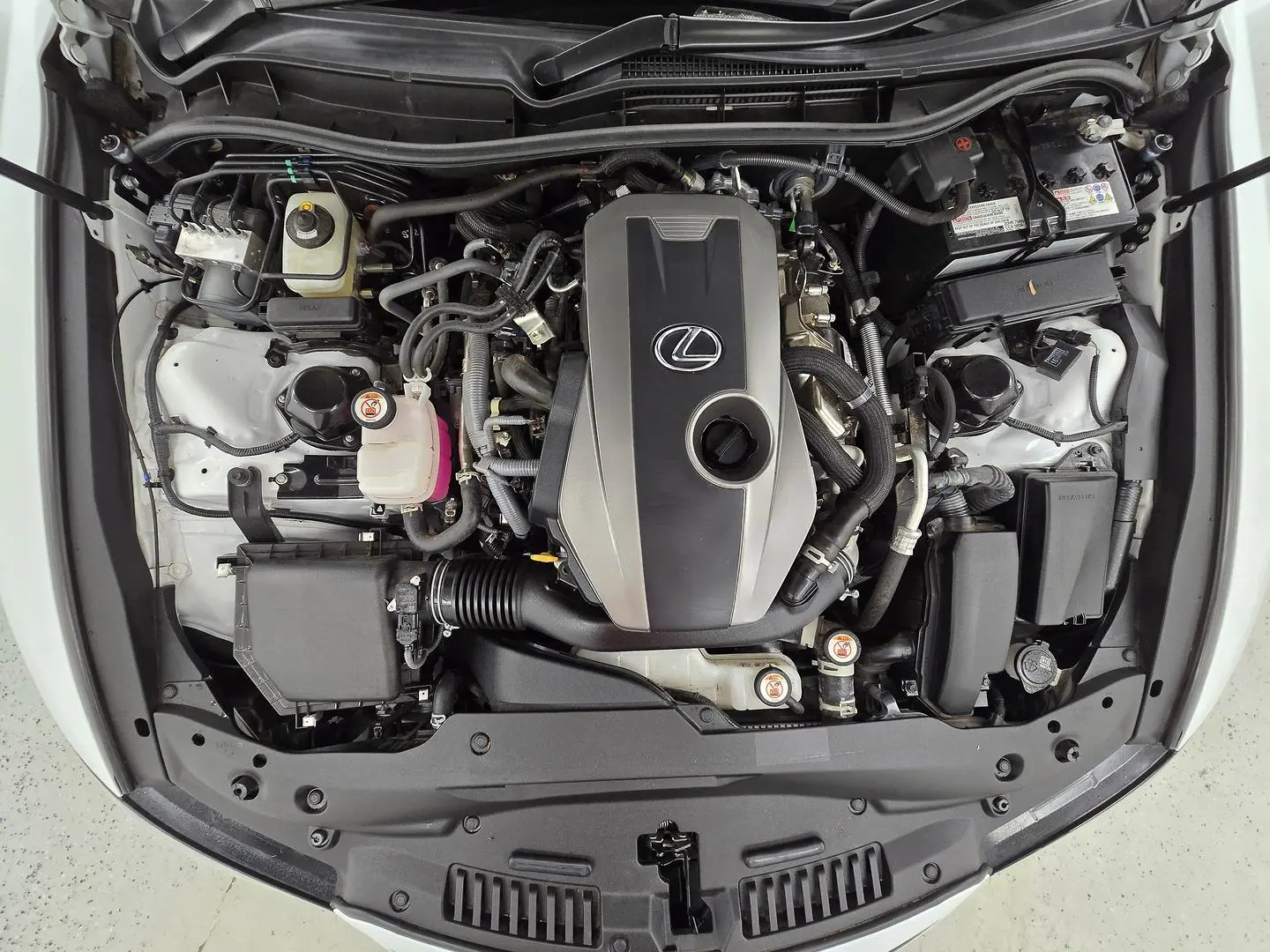 2021 Lexus IS Gallery Image 15