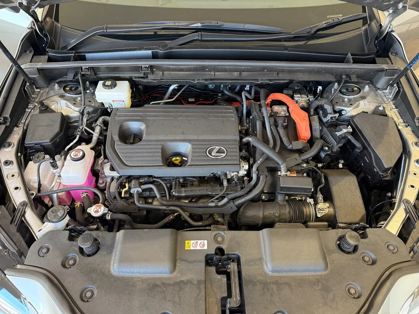 2025 Lexus NX Gallery Image 23