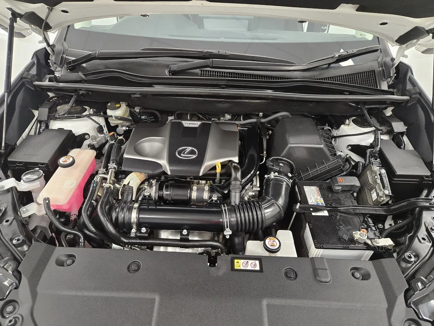 2020 Lexus NX Gallery Image 16