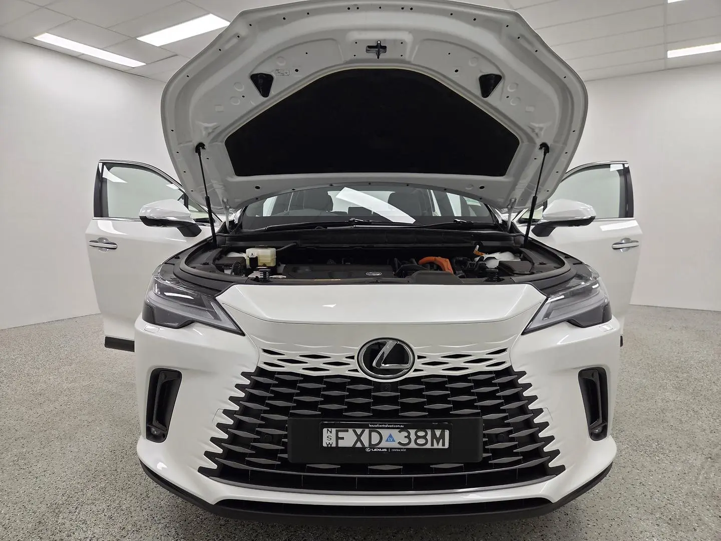 2025 Lexus RX Gallery Image 10