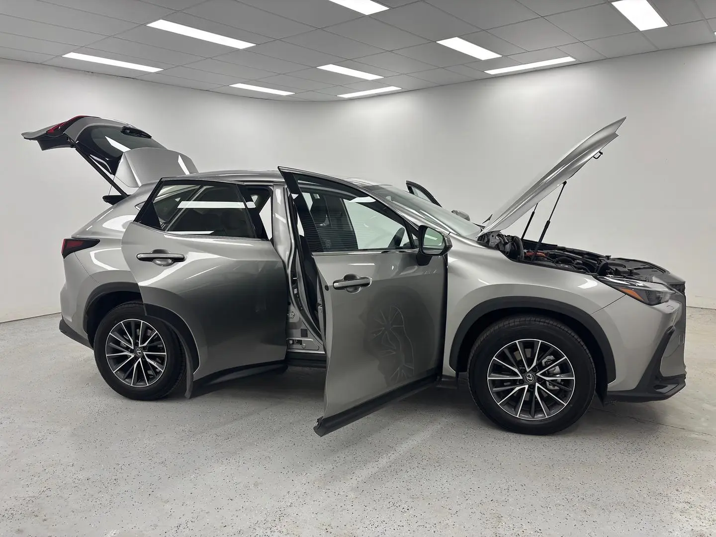 2025 Lexus NX Gallery Image 9