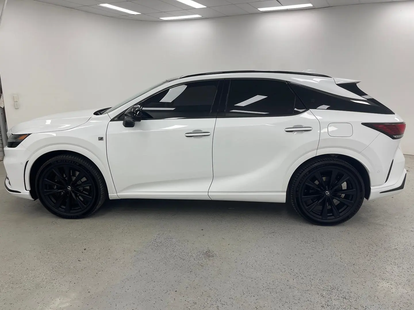 2025 Lexus RX Gallery Image 6