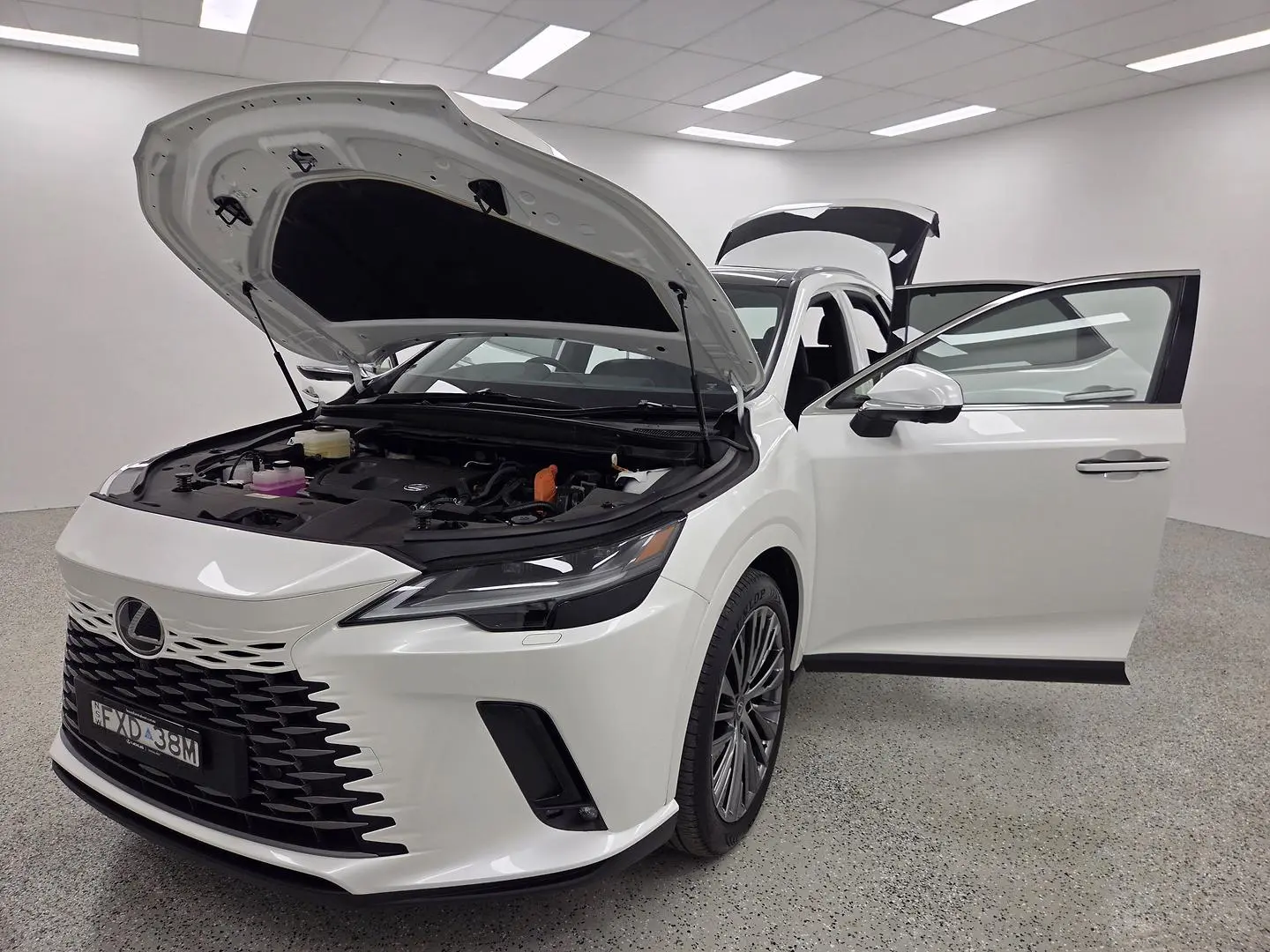 2025 Lexus RX Gallery Image 20