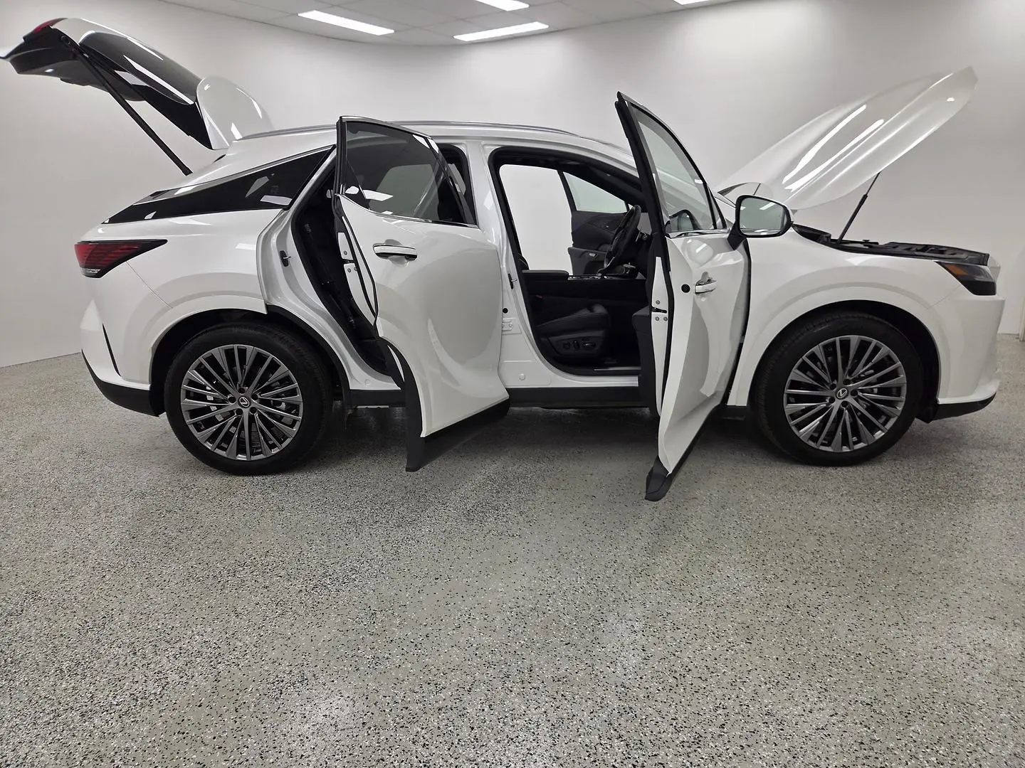 2025 Lexus RX Gallery Image 13