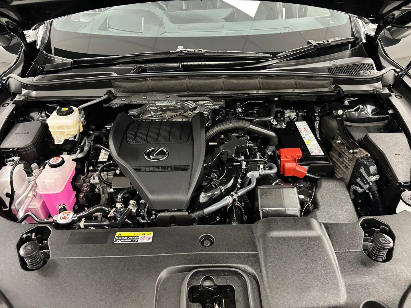 2024 Lexus RX Gallery Image 15