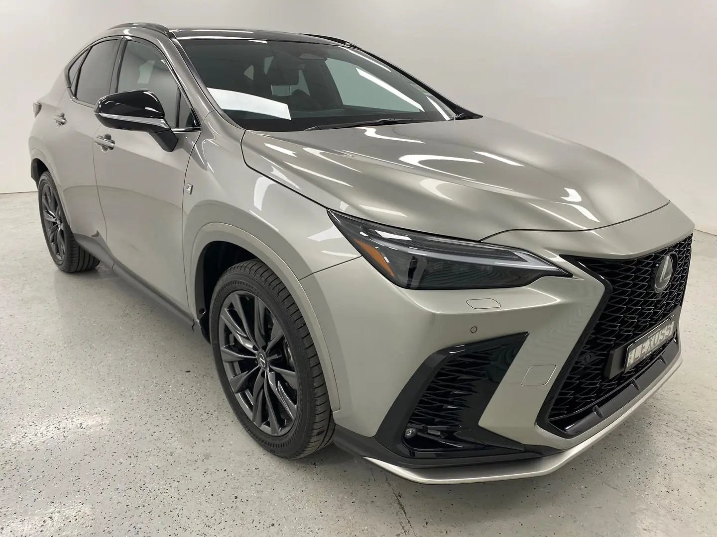 2024 Lexus NX Image 1