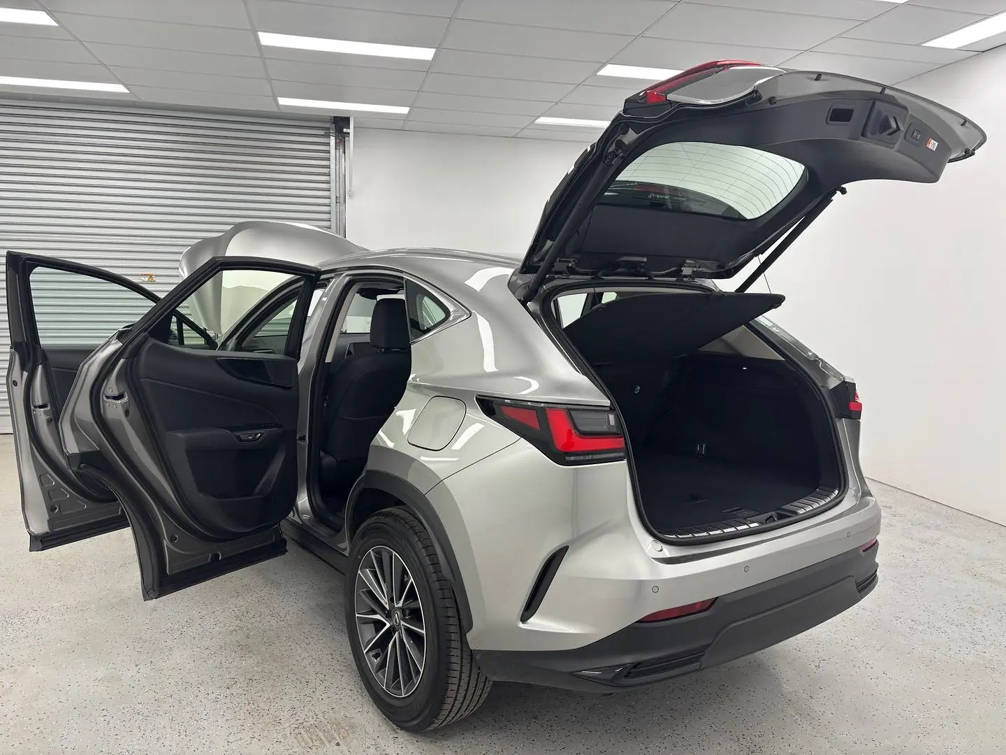 2025 Lexus NX Gallery Image 12