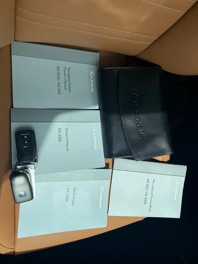 2019 Lexus NX Gallery Image 35