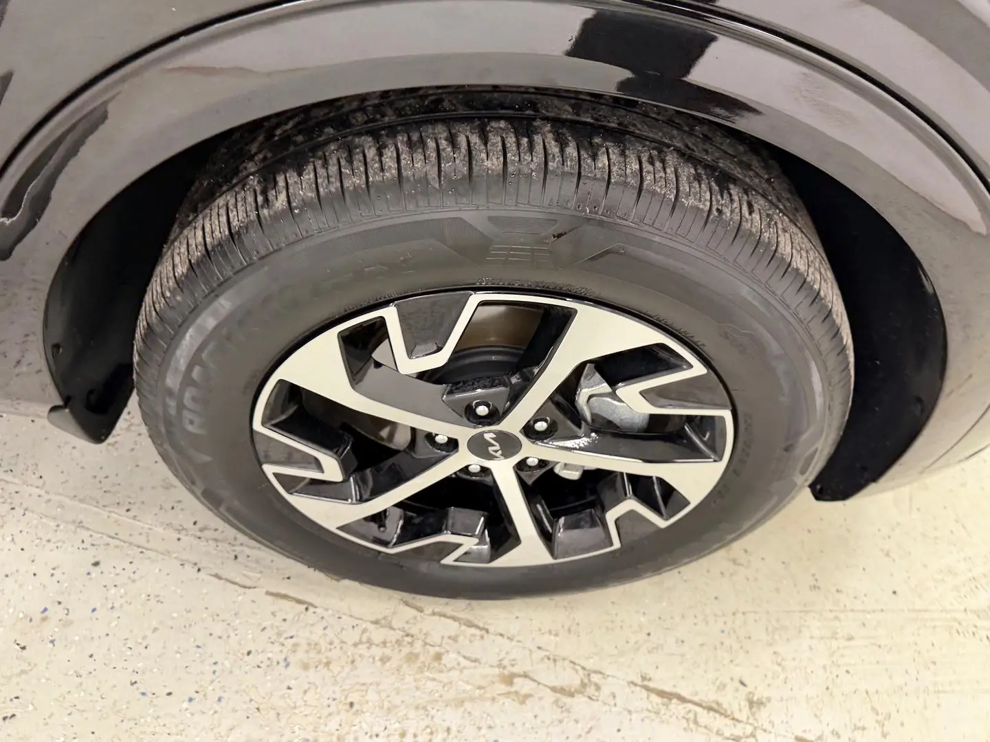 2024 Kia Sportage Gallery Image 14