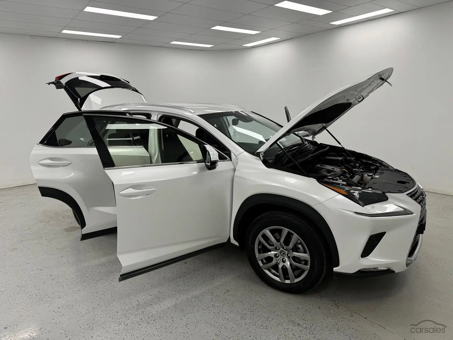 2021 Lexus NX Image 8