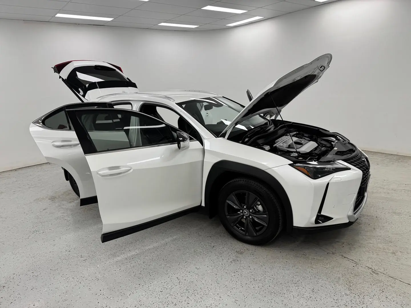 2023 Lexus UX Gallery Image 8