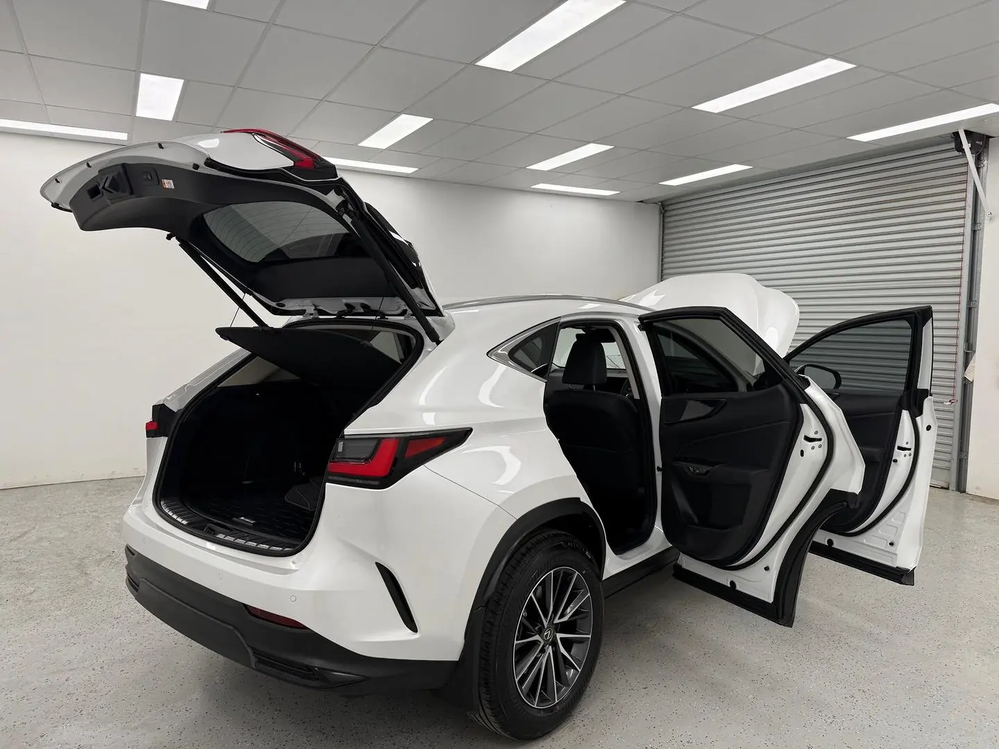 2025 Lexus NX Gallery Image 15