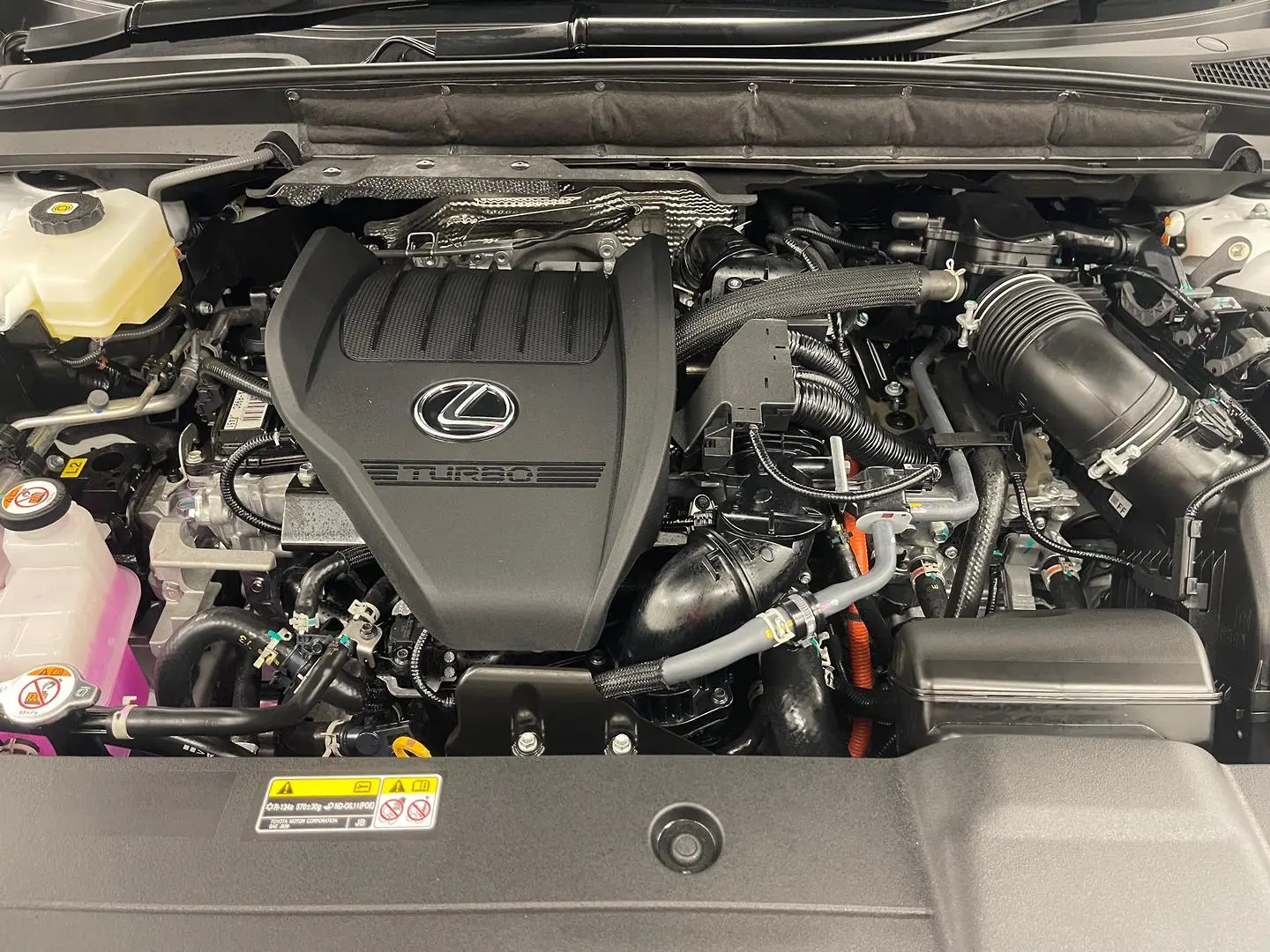 2025 Lexus RX Gallery Image 15