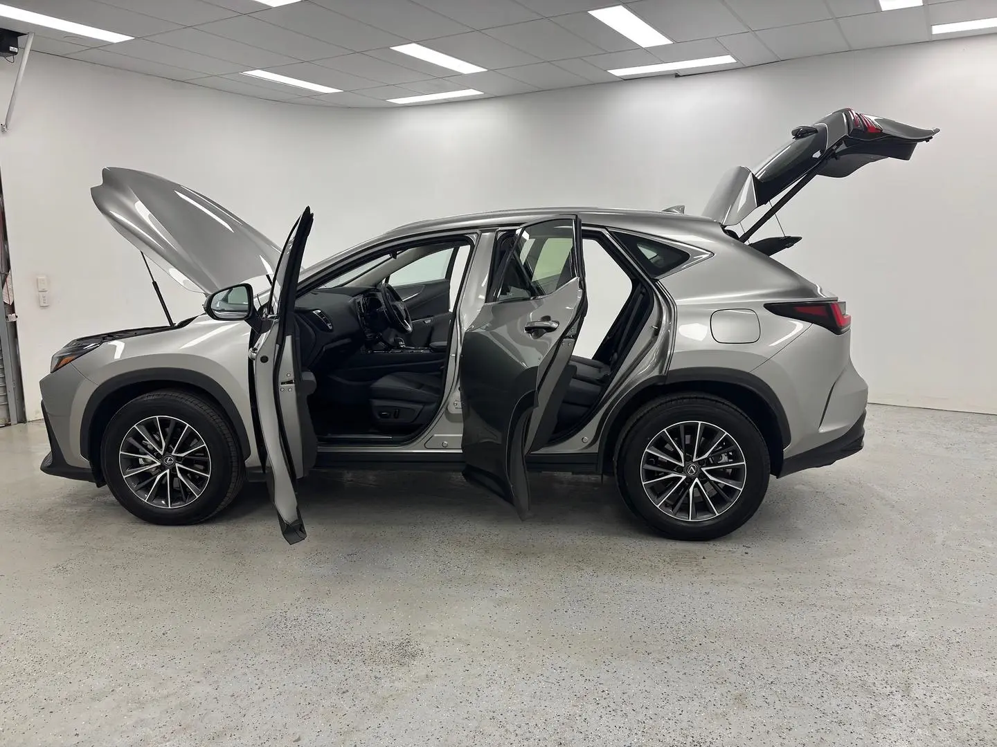 2025 Lexus NX Gallery Image 13
