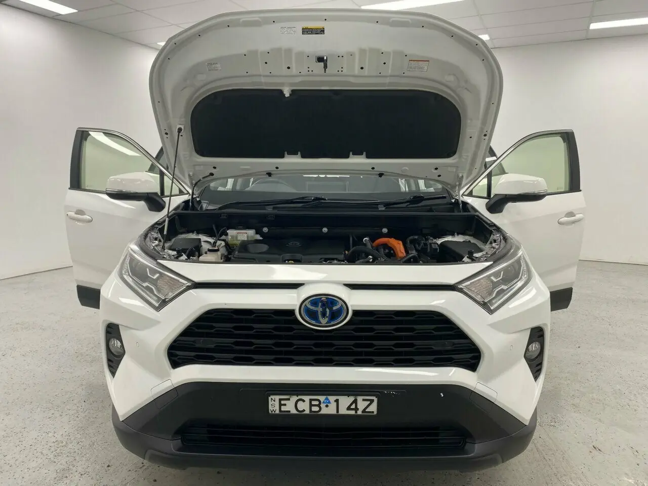 2019 Toyota RAV4 Image 15