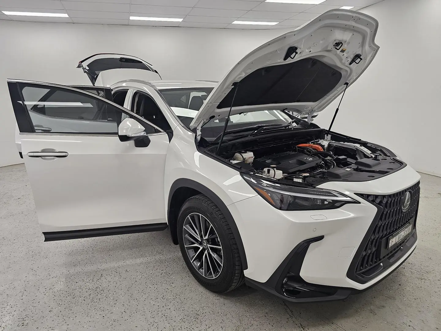 2025 Lexus NX Gallery Image 24