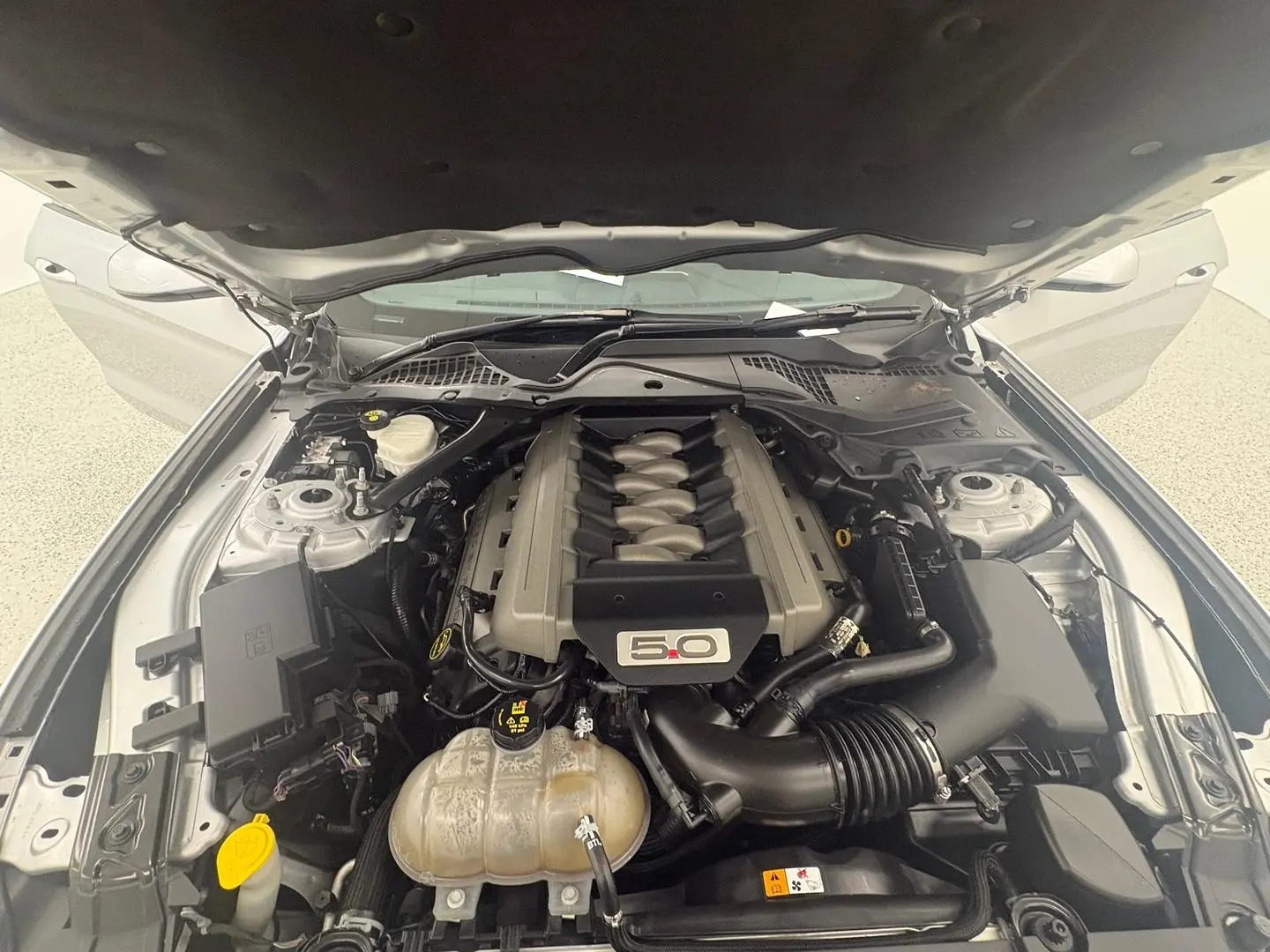 2017 Ford Mustang Gallery Image 17