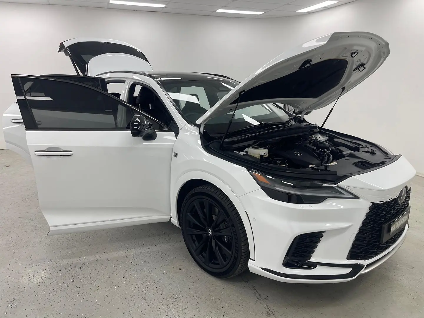 2025 Lexus RX Gallery Image 8