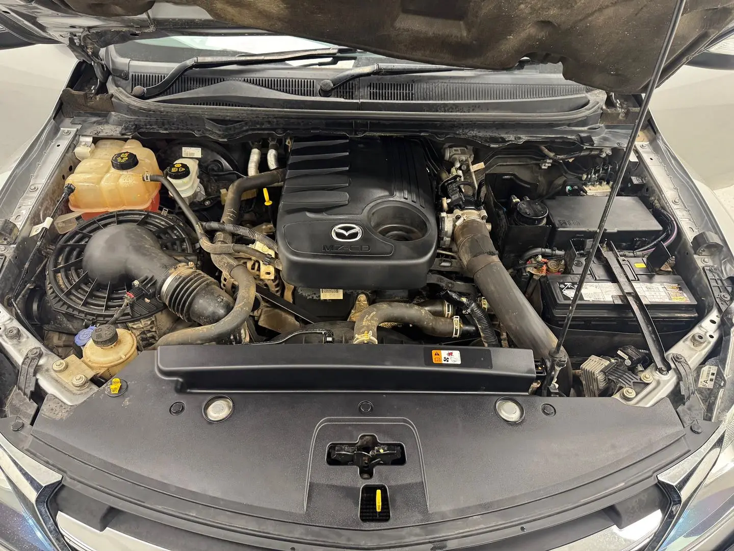 2019 Mazda BT-50 Gallery Image 14