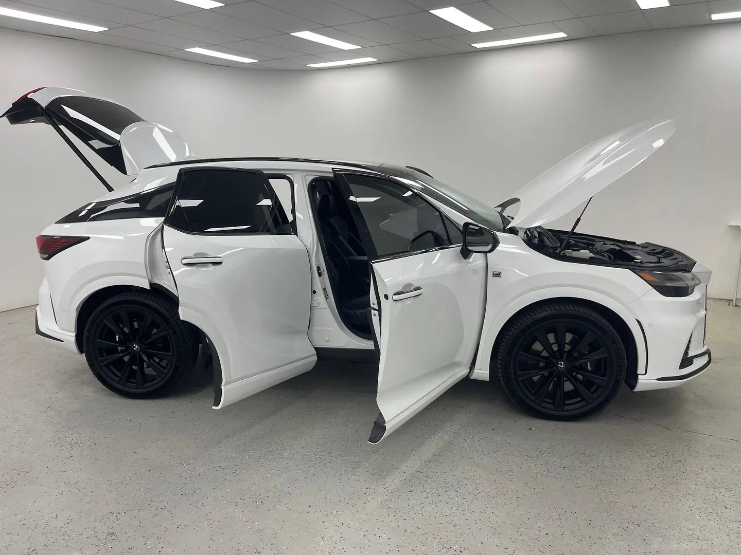 2025 Lexus RX Gallery Image 9