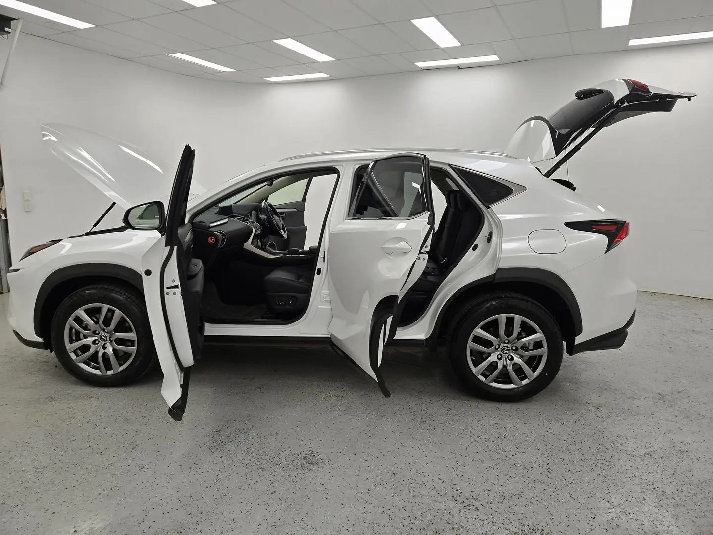 2020 Lexus NX Gallery Image 13