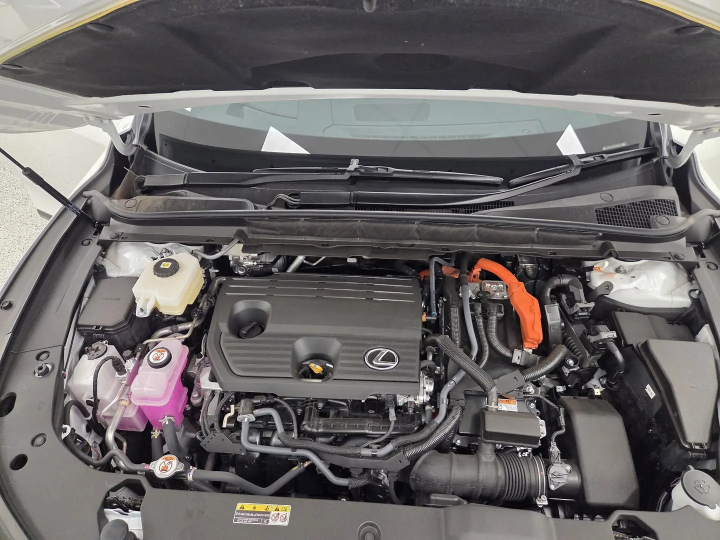 2025 Lexus RX Gallery Image 11