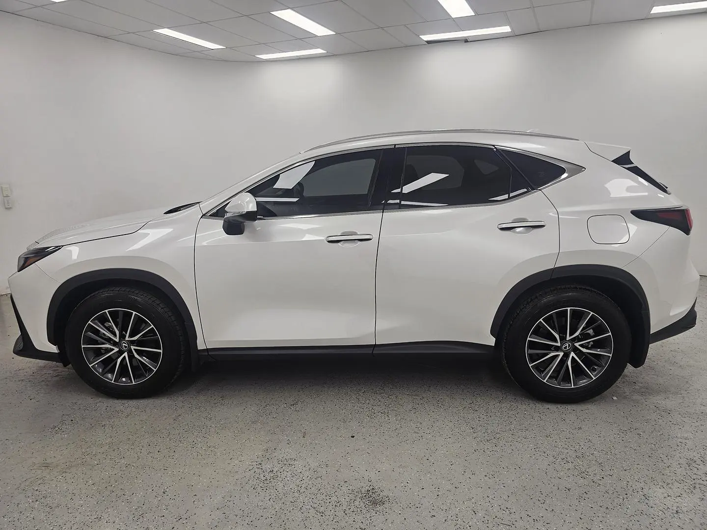 2025 Lexus NX Gallery Image 6