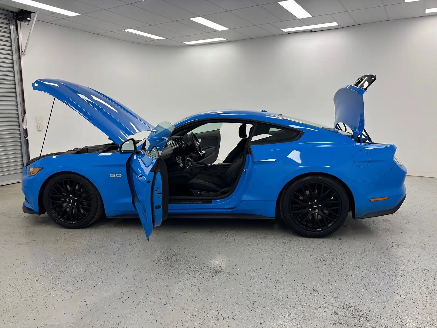 2017 Ford Mustang Gallery Image 13