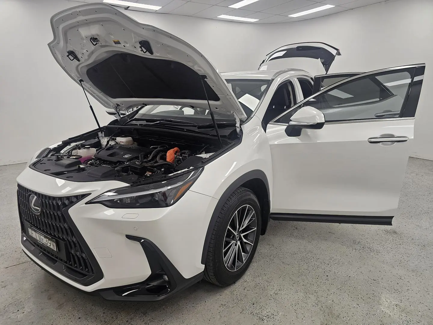 2025 Lexus NX Gallery Image 8